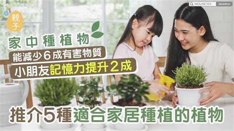 小朋友種植物|我家也有小菜園─陪孩子種蔬菜觀察生長